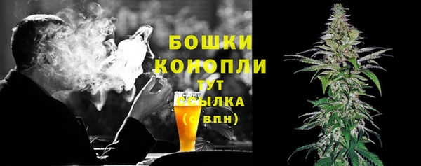 гидропоника Белокуриха