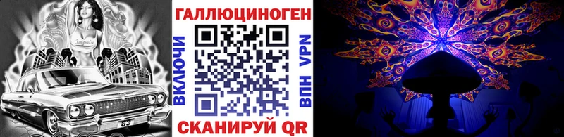 закладка  Кулебаки  Псилоцибиновые грибы GOLDEN TEACHER 