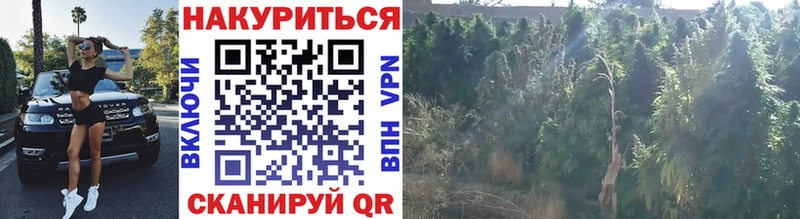 omg ССЫЛКА  Кулебаки  нарко площадка как зайти  Марихуана индика 